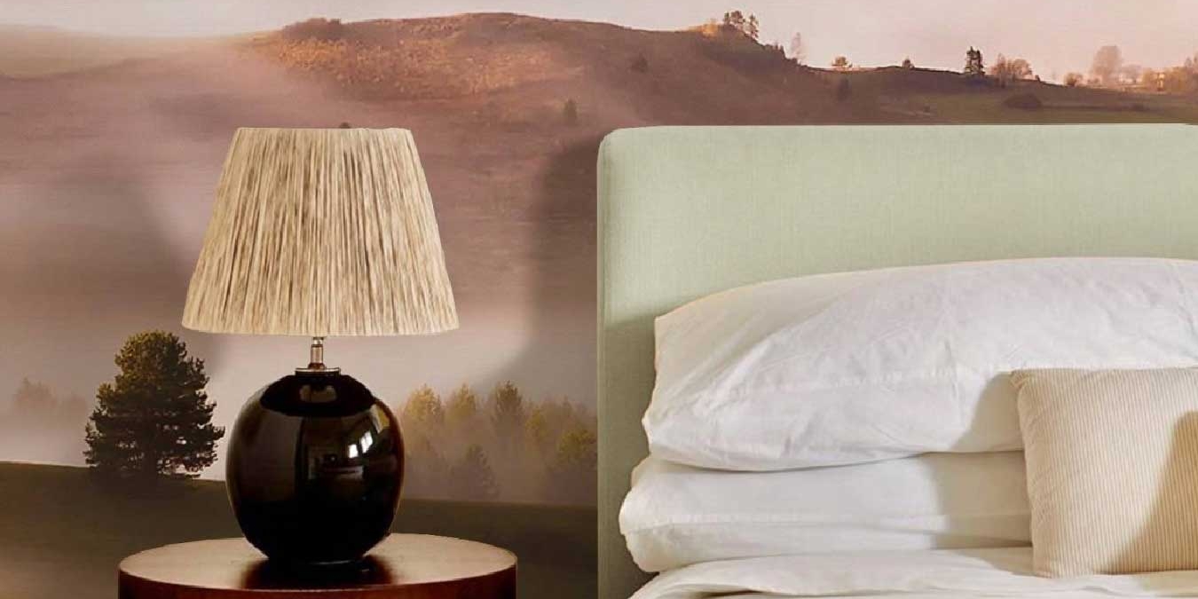 Mountain Morning View